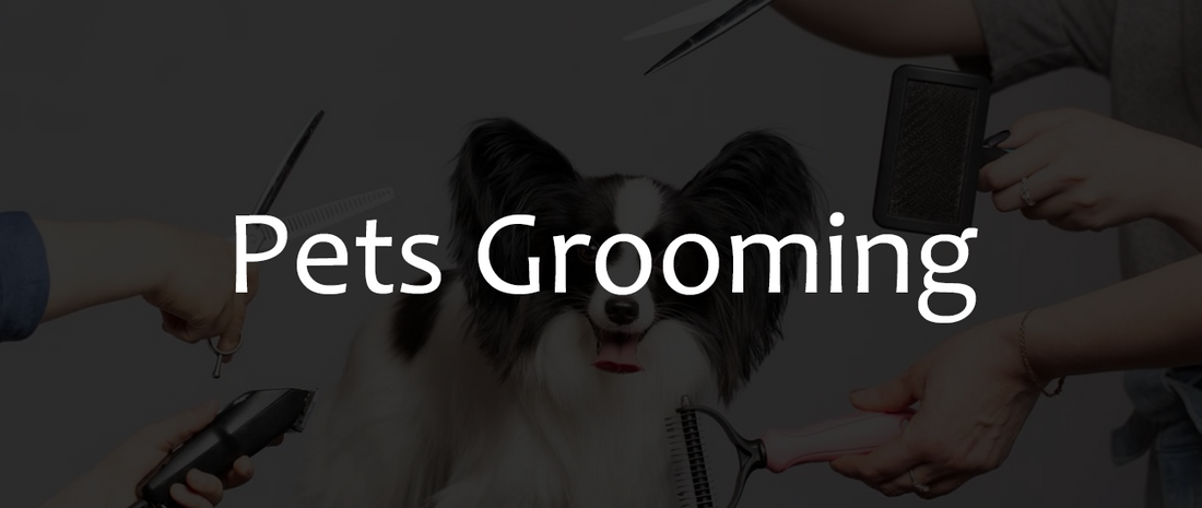 Pets Grooming